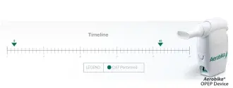 study timeline