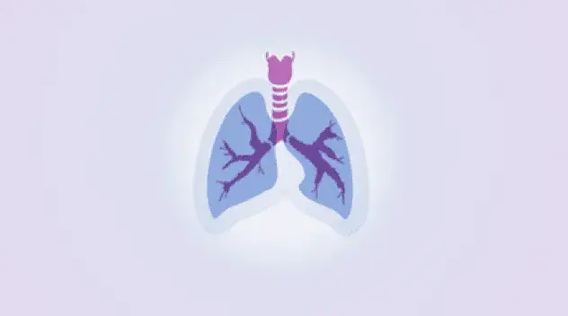 A stylized depiction of a lung with asthma.